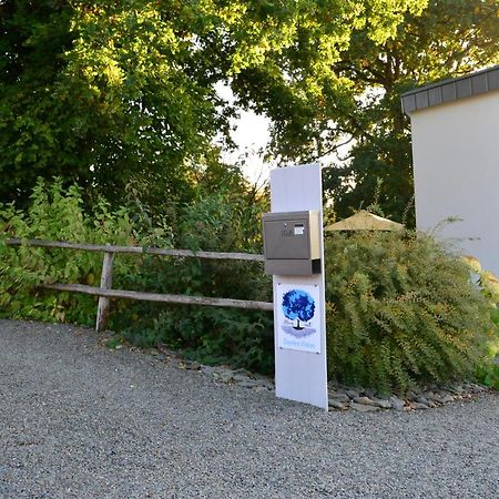Bleus Nuit Bed & Breakfast Lierneux Eksteriør bilde